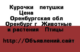 Курочки , петушки › Цена ­ 200-300 - Оренбургская обл., Оренбург г. Животные и растения » Птицы   